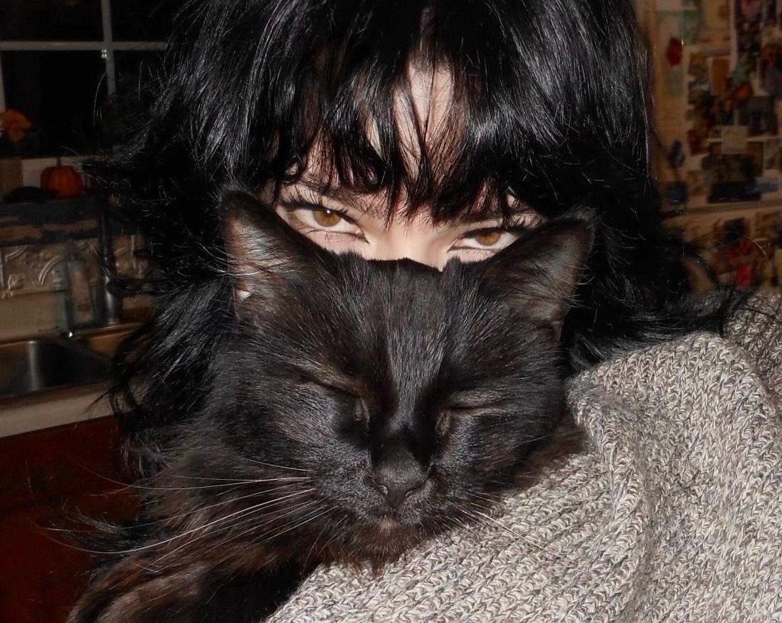 Miaw (@miaw) on Twitter photo 