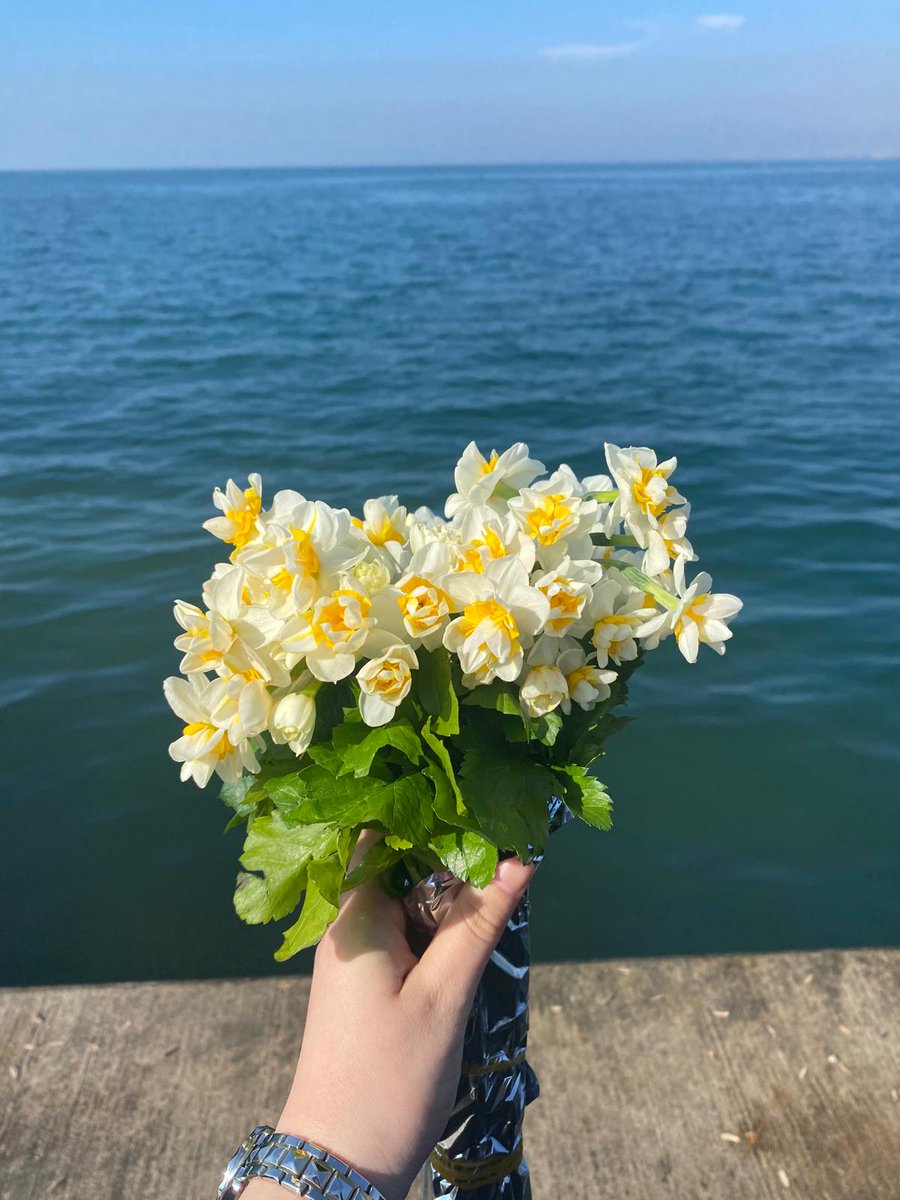 elanurnais's tweet photo. Arkadaşlar favlama olayı doğruymuş
Ayyyh çok güzelsin nergissss 🤭🫶🏻
@esrakskl_ https://t.co/xDjEhgA0BQ