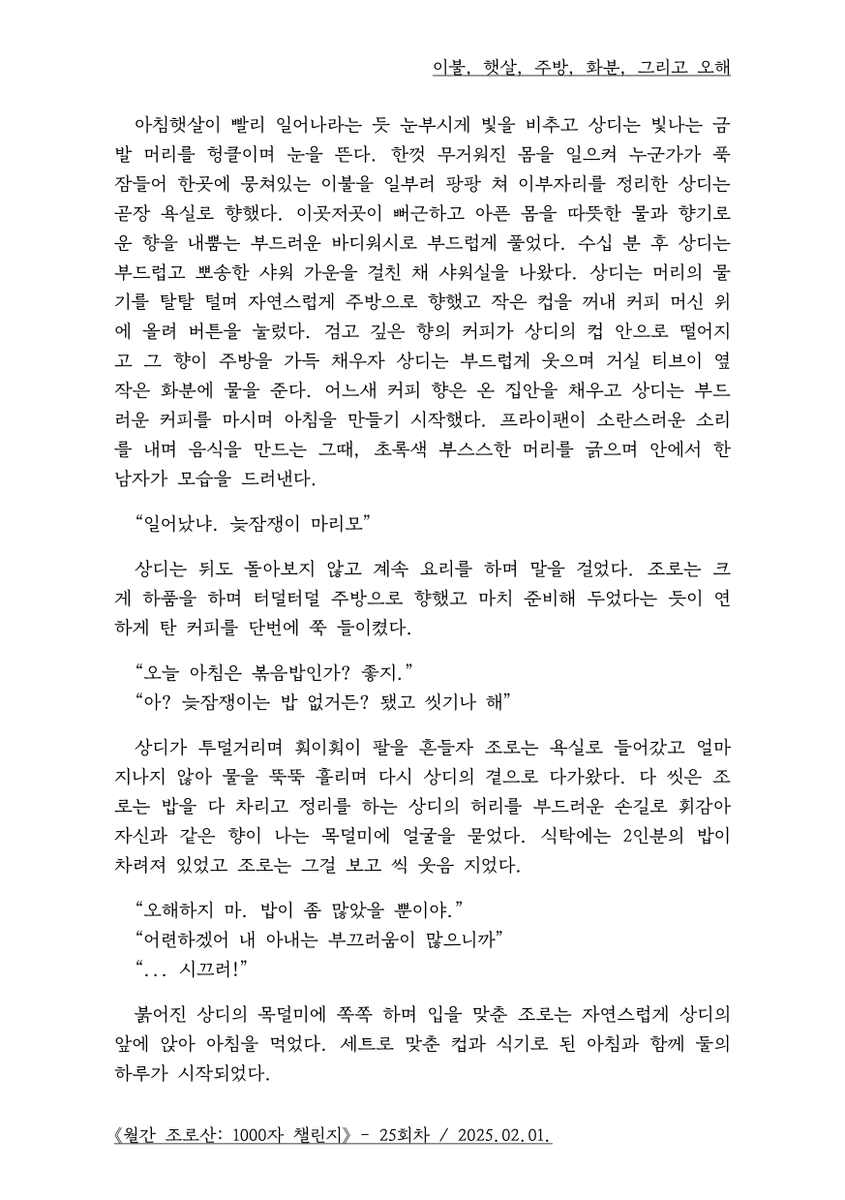 《월간 조로산: 1000자 챌린지》
제25회차 (2025년 1월)
제시 단어: 이불, 햇살, 주방, 화분, 오해 (3/6)