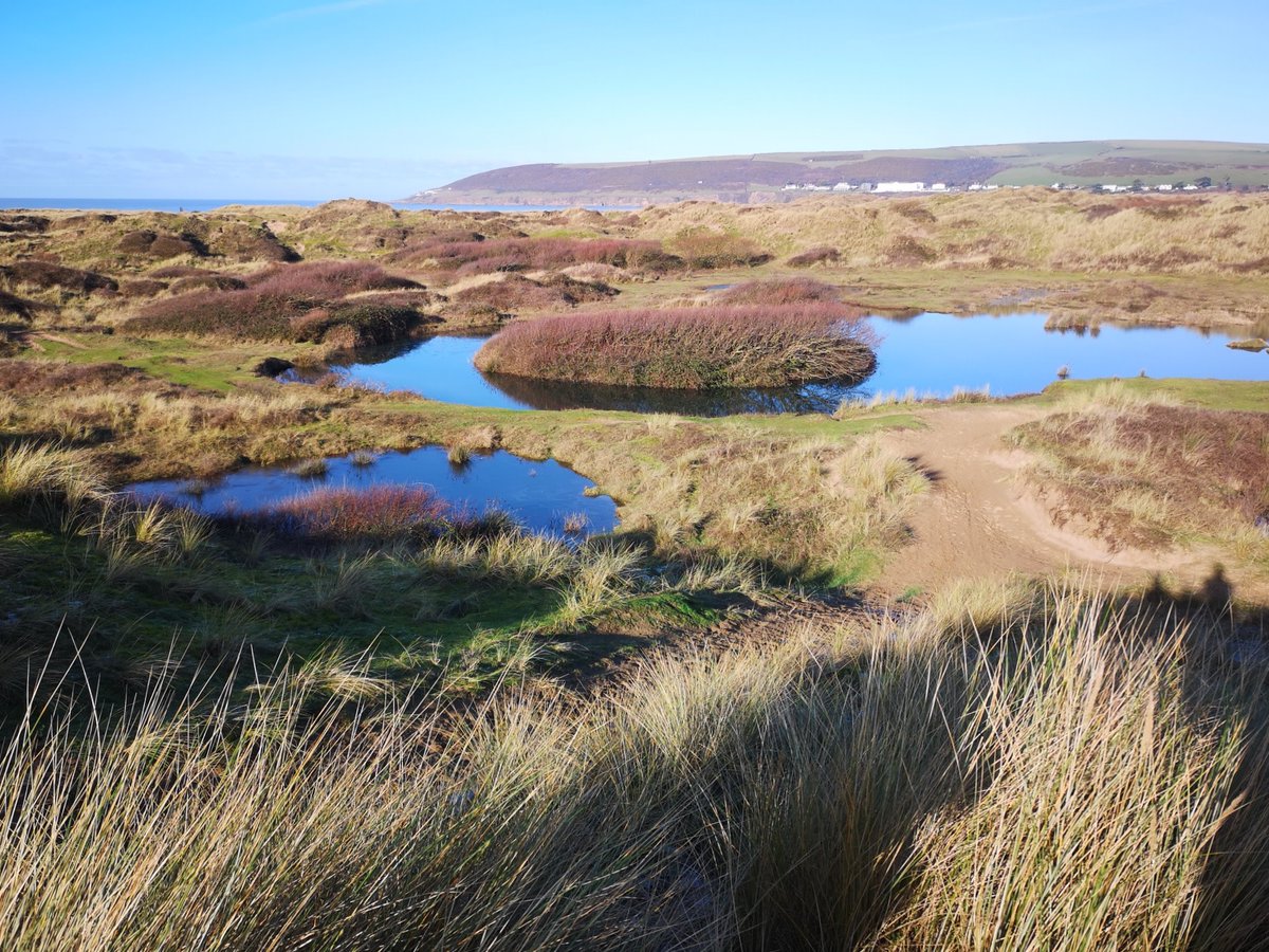 This Sunday we are celebrating World Wetlands Day!

Wetlands are areas of land that are permanently or seasonally covered by water, supporting a rich biodiversity of wildlife, while helping to reduce flood risk, improve drought resilience and capture huge amounts of carbon. Ye...