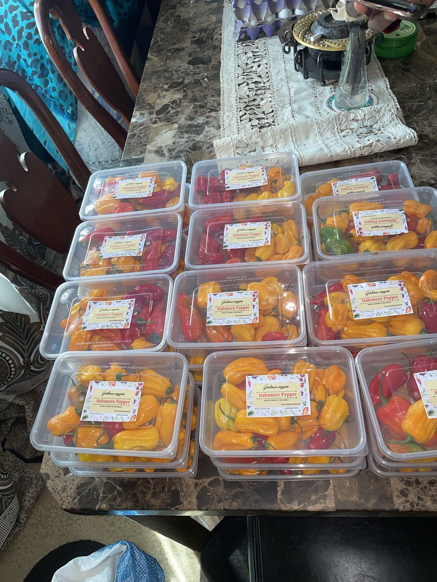 sheikhnjie10's tweet photo. Buy your peppers for home consumption  🌶️ 
D75 for the pack 
Call:2763522 or 6661720 https://t.co/bif93dAh0E