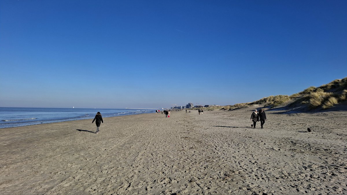 Bart Meert tweet media