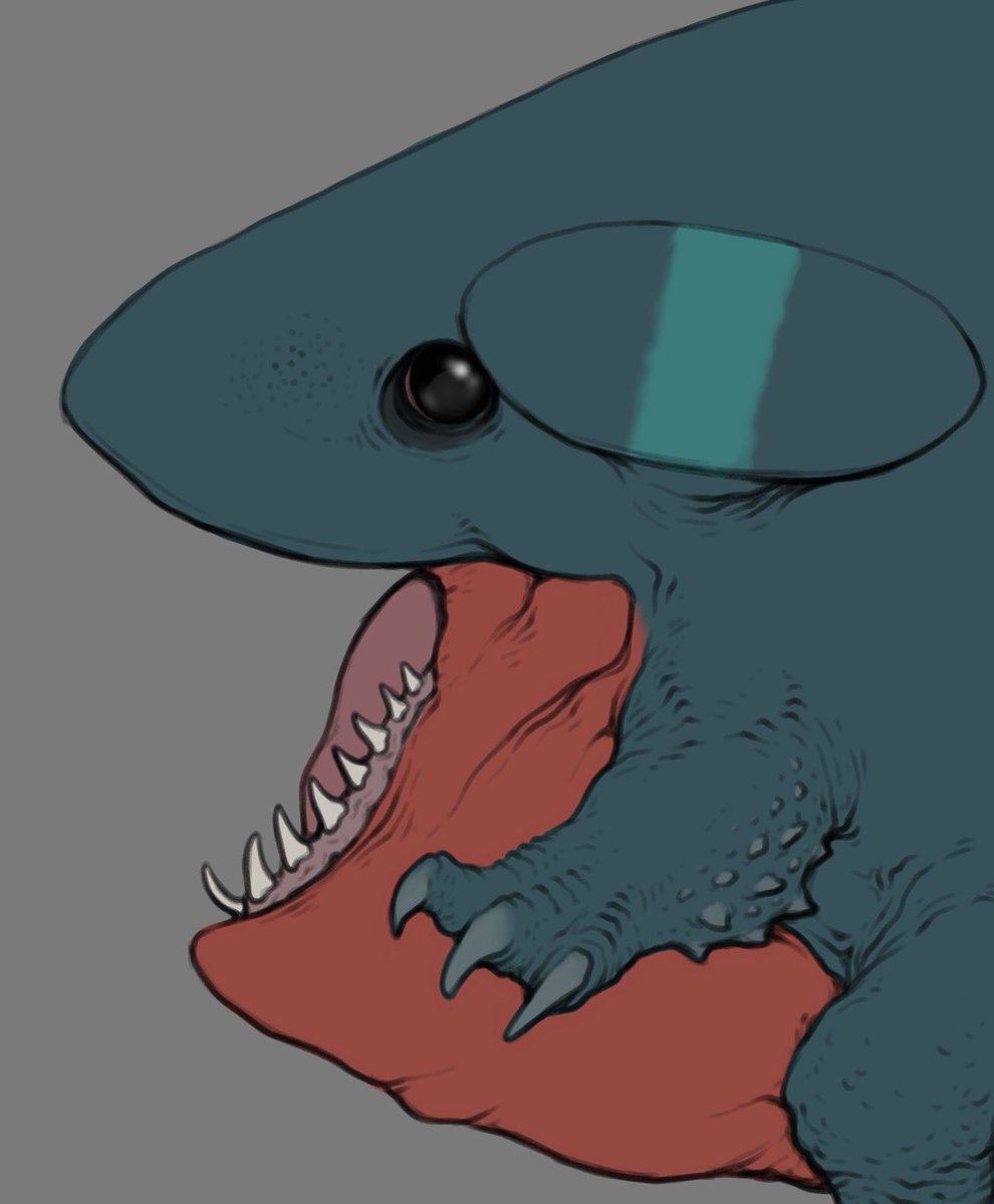 nao70shark tweet media