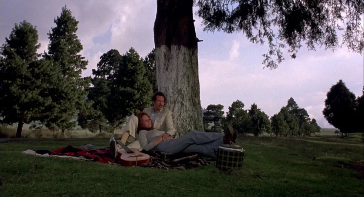 Alan Mattli tweet media