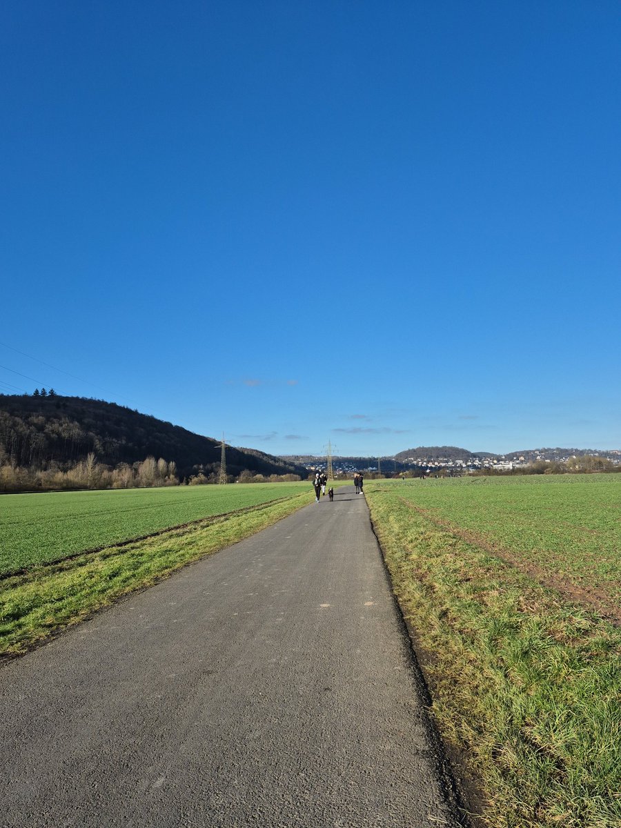 leylaaaa tweet media