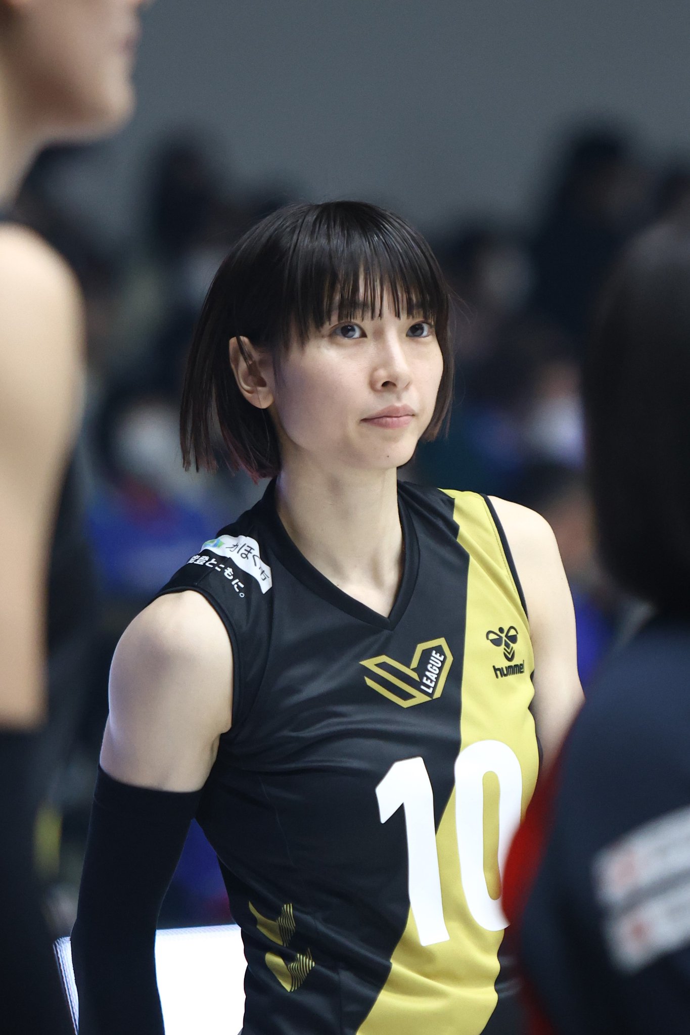 白岩蘭奈選手　応援Tシャツ未開封未使用 白岩蘭奈選手 応援Tシャツ未開封未使用 白岩蘭奈選手 応援