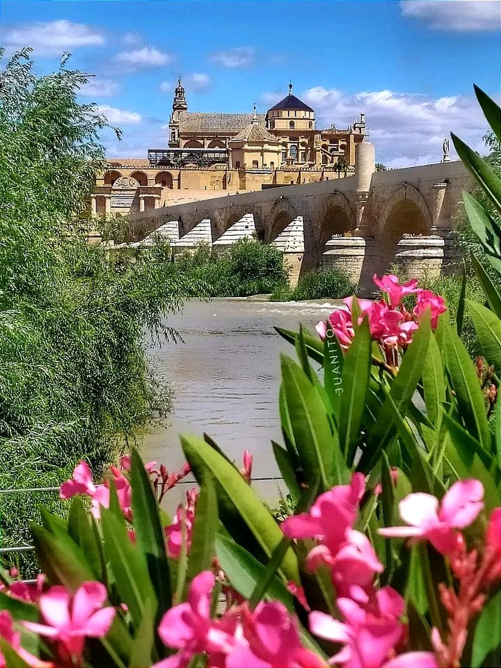 Vistas al Puente Romano y Mezquita-Catedral 
CÓRDOBA. ANDALUCÍA. SPAIN 🇪🇦