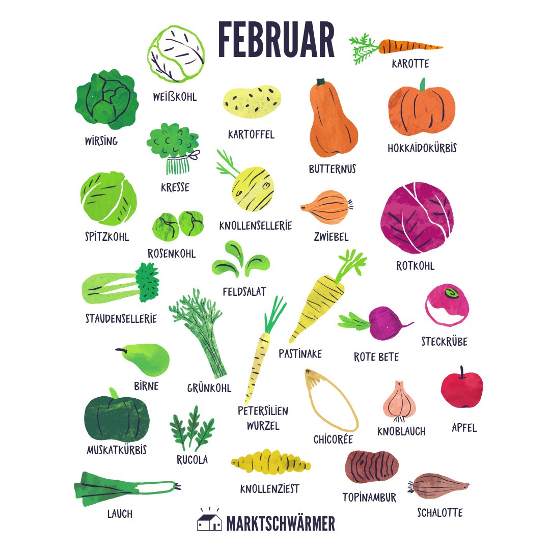 Frisch vom Feld kommen Feldsalat, Rucola und Chicorée, die sich perfekt für knackige Wintersalate eignen.🥗 Die Bitterstoffe im Chicorée fördern die Verdauung und unterstützen die Darmflora. Jetzt ist auch die letzte Chance für Grünkohl und Spitzkohl, bevor die Saison endet.🥬