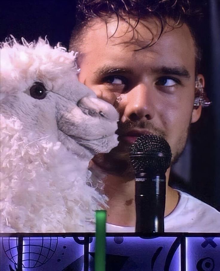 zmtruth's tweet image. liam pics because i want him included in the content we’ve received this week