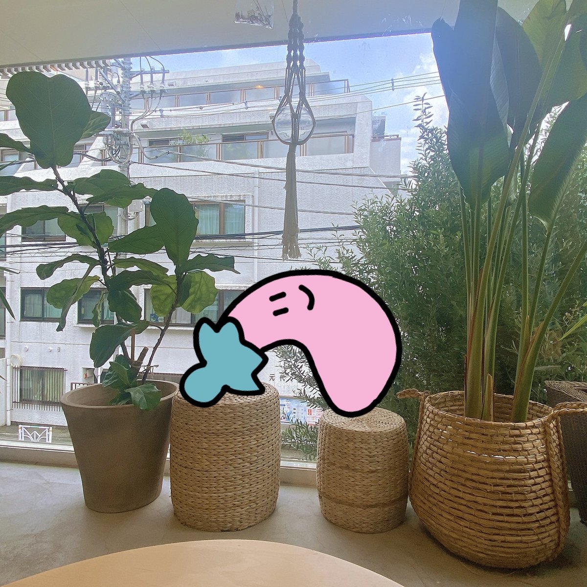 oplant's tweet image. ナスのスタンプ2販売開始しました❕❕️🍆🍆

LINEアプリ上でのコラージュに使いやすい絵を選びました✌
（葬式ナスはリジェクトされたので暴落ナスにさしかえてます💹）（汎用性なし）

URLはリプにつけときます！