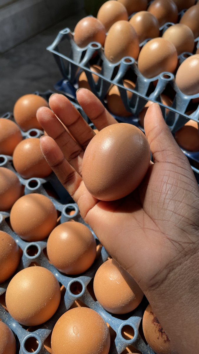 The Kitchen Barbie 🎀 tweet media