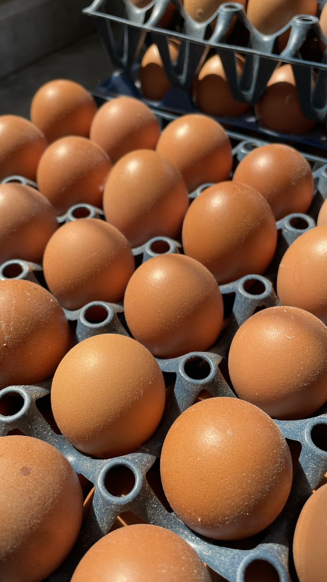 The Kitchen Barbie 🎀 tweet media