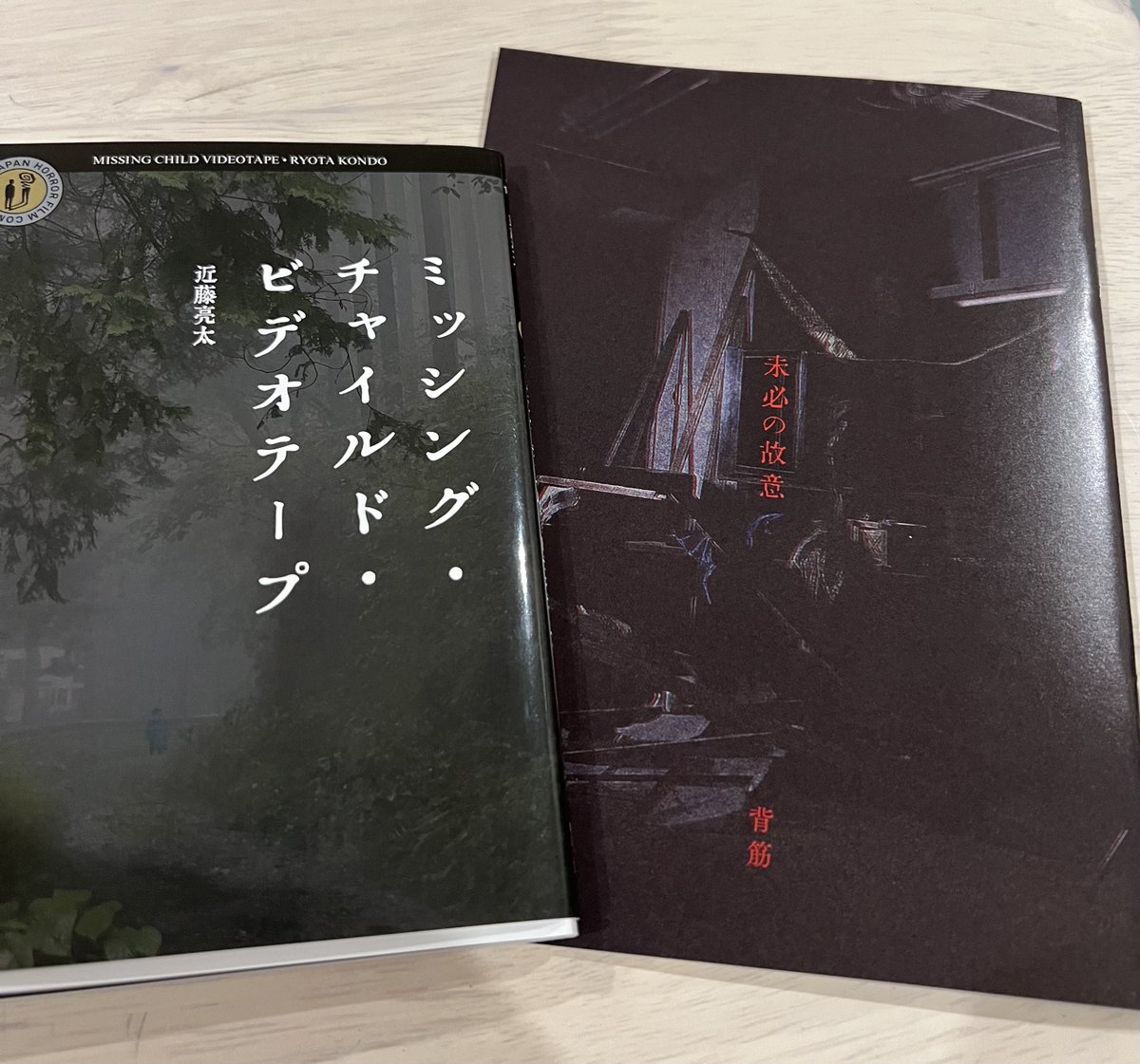 妻が先に観た時に買ってたパンフと特典を読む 