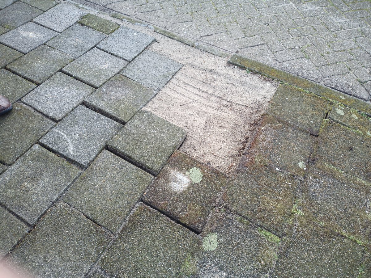 Platform gehandicapten Leidschendam-Voorburg toonde ons (samen met Sanja  Duivenstijn) tijdens een schouw het meest schrijnende voorbeeld uit Prinsenhof laag van <a href="/Gemeente_LV/">Gemeente LV</a>. <a href="/VVDLdamVburg/">VVD Ldam-Vburg</a> heeft juist hiervoor een motie ingediend om dit te voorkomen.