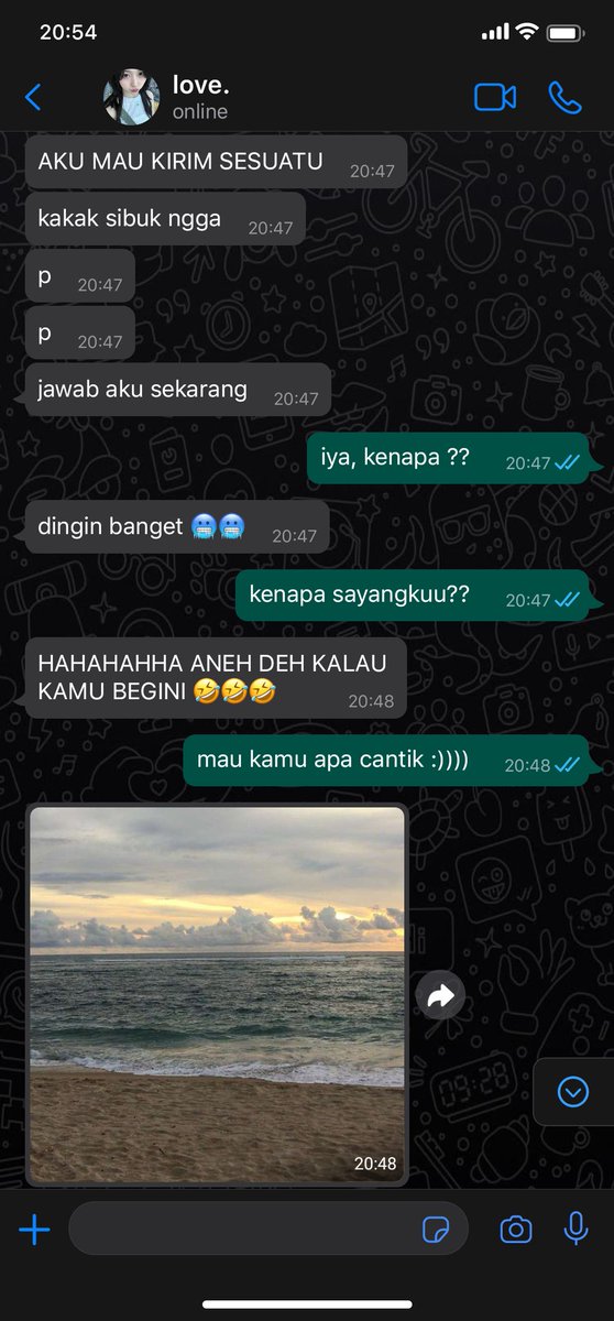 llouvestar's tweet photo. #catoris 🤓🤣 https://t.co/dziUN73GWg