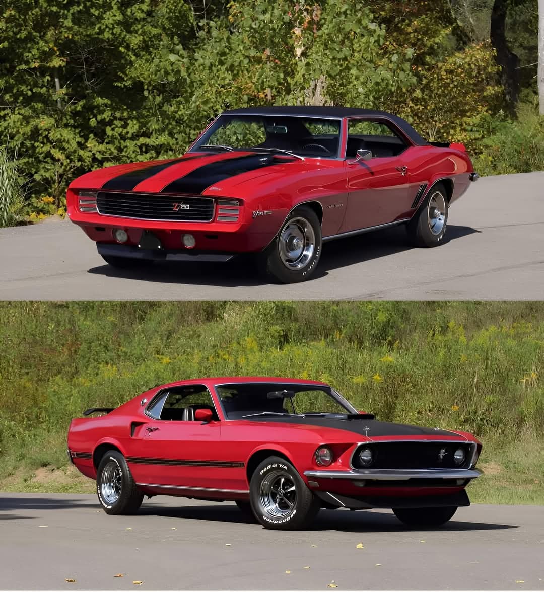 Vintage Cars Collection tweet media