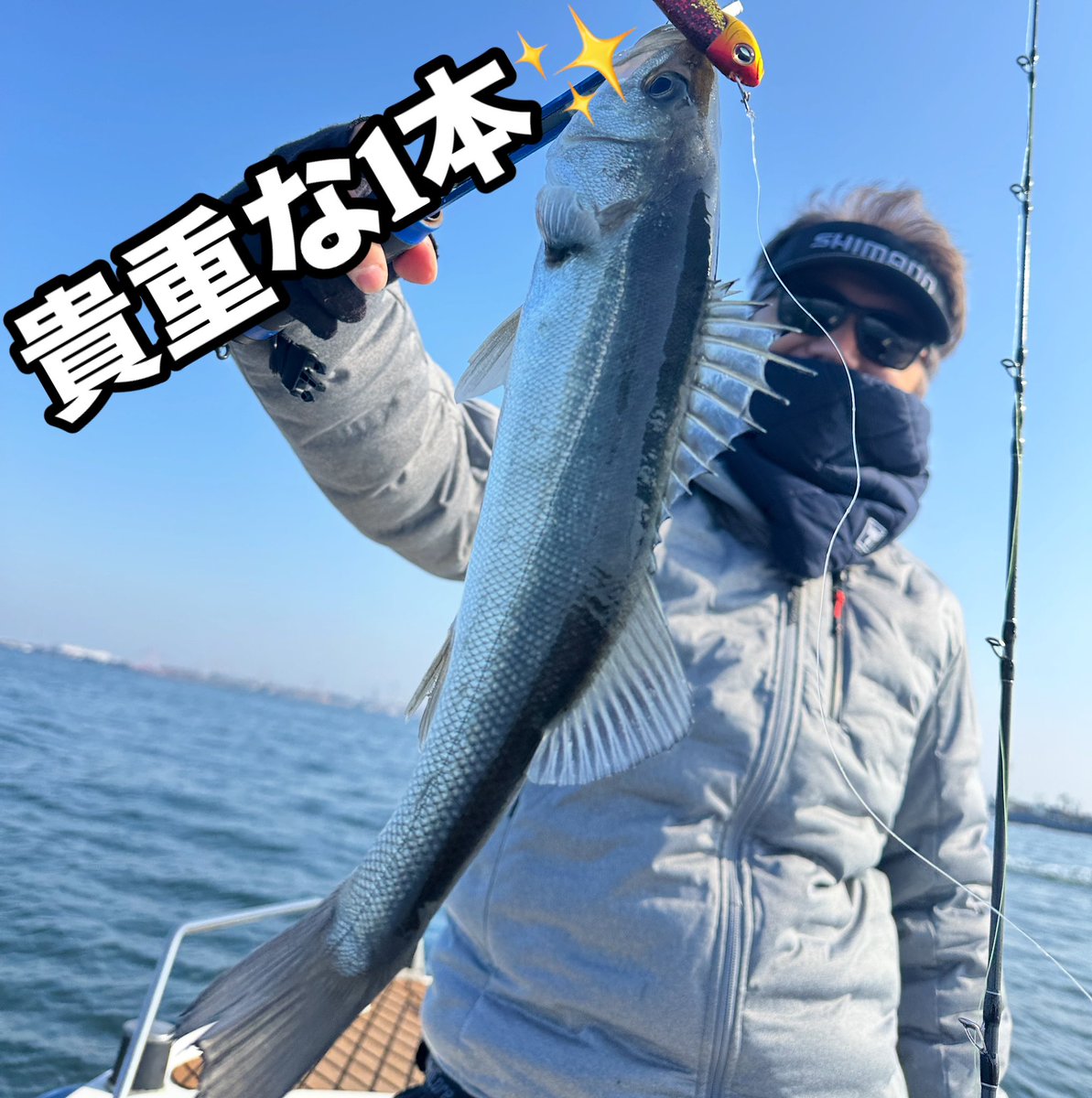 sugarmarin2022's tweet photo. 激渋の中の貴重な1本‼️

#ボートシーバス#sugarmarin#名古屋港#名古屋港シーバス#釣果#釣りガール#seabaka#釣りバカ#釣り女子#シーバス
#釣りが好き #名古屋���ガイド船
#ボートシーバスガイド https://t.co/Kdh5oj7kHO