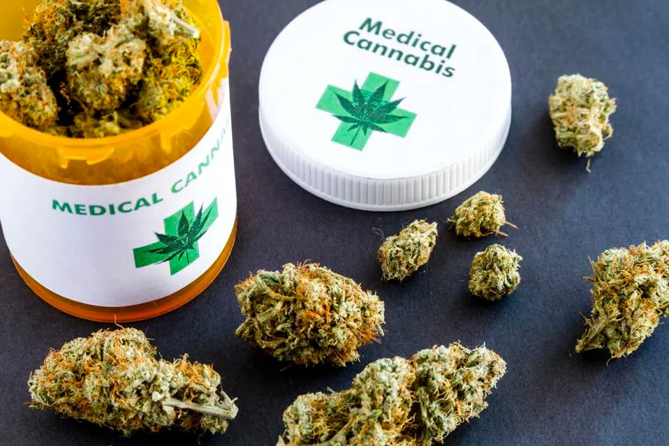 Firefighter Hub (@_firefighterhub) on Twitter photo This week's highlight comes to us from <a href="/CrackylM/">CRACKYL Magazine</a> . Navigating the legal and policy challenges of medicinal cannabis in the fire service.
firefighterhub.com/weekly-highlig…
More resources at firefighterhub.com.
#firefighter #cannabis #weed #medicalcannabis This week's highlight comes to us from <a href="/CrackylM/">CRACKYL Magazine</a> . Navigating the legal and policy challenges of medicinal cannabis in the fire service.
firefighterhub.com/weekly-highlig…
More resources at firefighterhub.com.
#firefighter #cannabis #weed #medicalcannabis