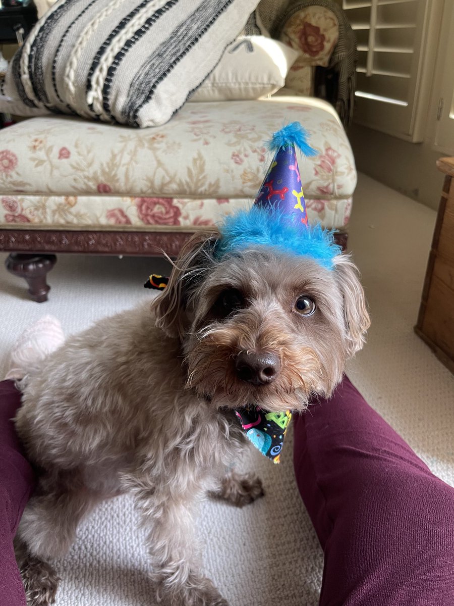 Only shot we could find! Paying my respect to #HatsonforEric