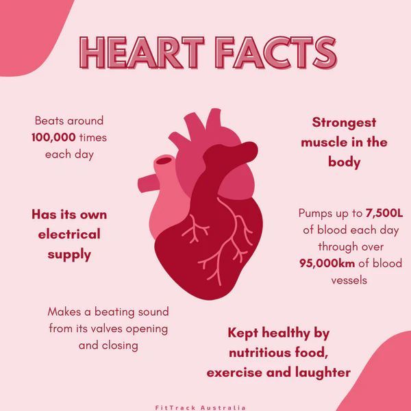 February is Heart Health Month, so we'll be posting useful information on cardiovascular health and disease to keep your heart healthy. Stay tuned!

To get started, here's some interesting facts about the heart, your body's strongest muscle!

Graphic by FitTrack Australia.