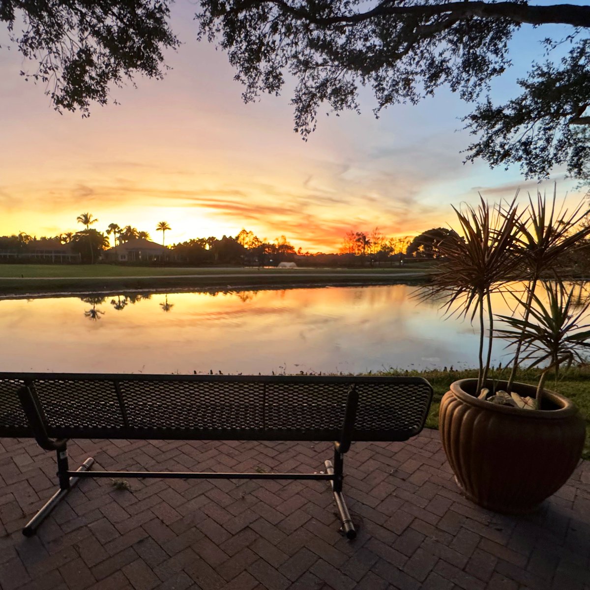 ClubatIbis's tweet image. Happy #SunriseSaturday! 

Thank you, Carmen Slater, for the photo. 🌄 

#LifeatIbis #POV #CountryClub