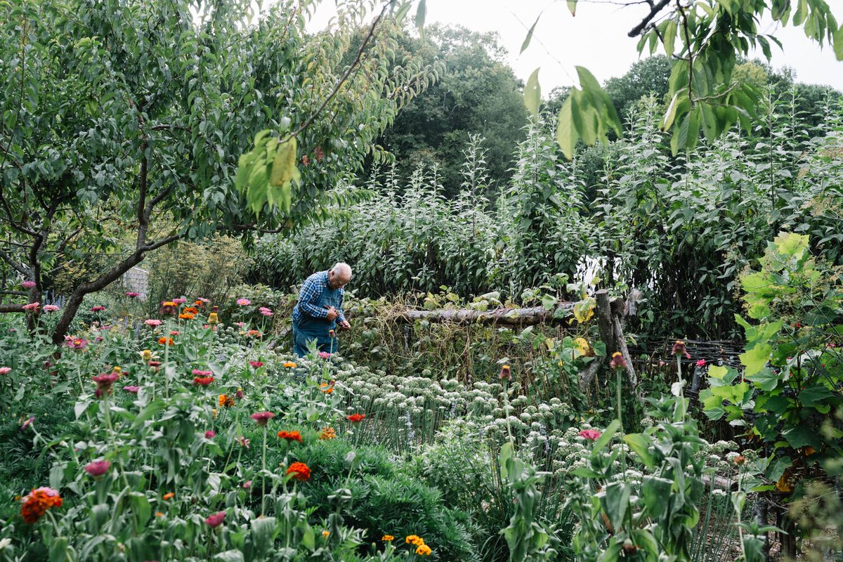 How do foods get their unique tones? Kelly Trimble answers that question inside the latest Blackberry Magazine. Learn how nutrients, climate and genetics play a role in the colors that come from our land: bit.ly/CultivationInF… #BlackberryFarm #BlackberryMagazine #TheToneIssue