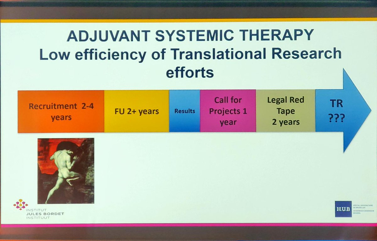 Mariana Brandao tweet media