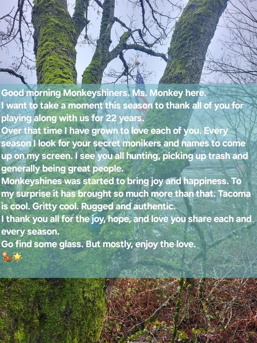 Ms. Monkey tweet media