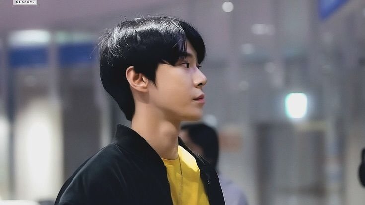 pulang
#davianoline

kim doyoung few tweets au
©sideofsav