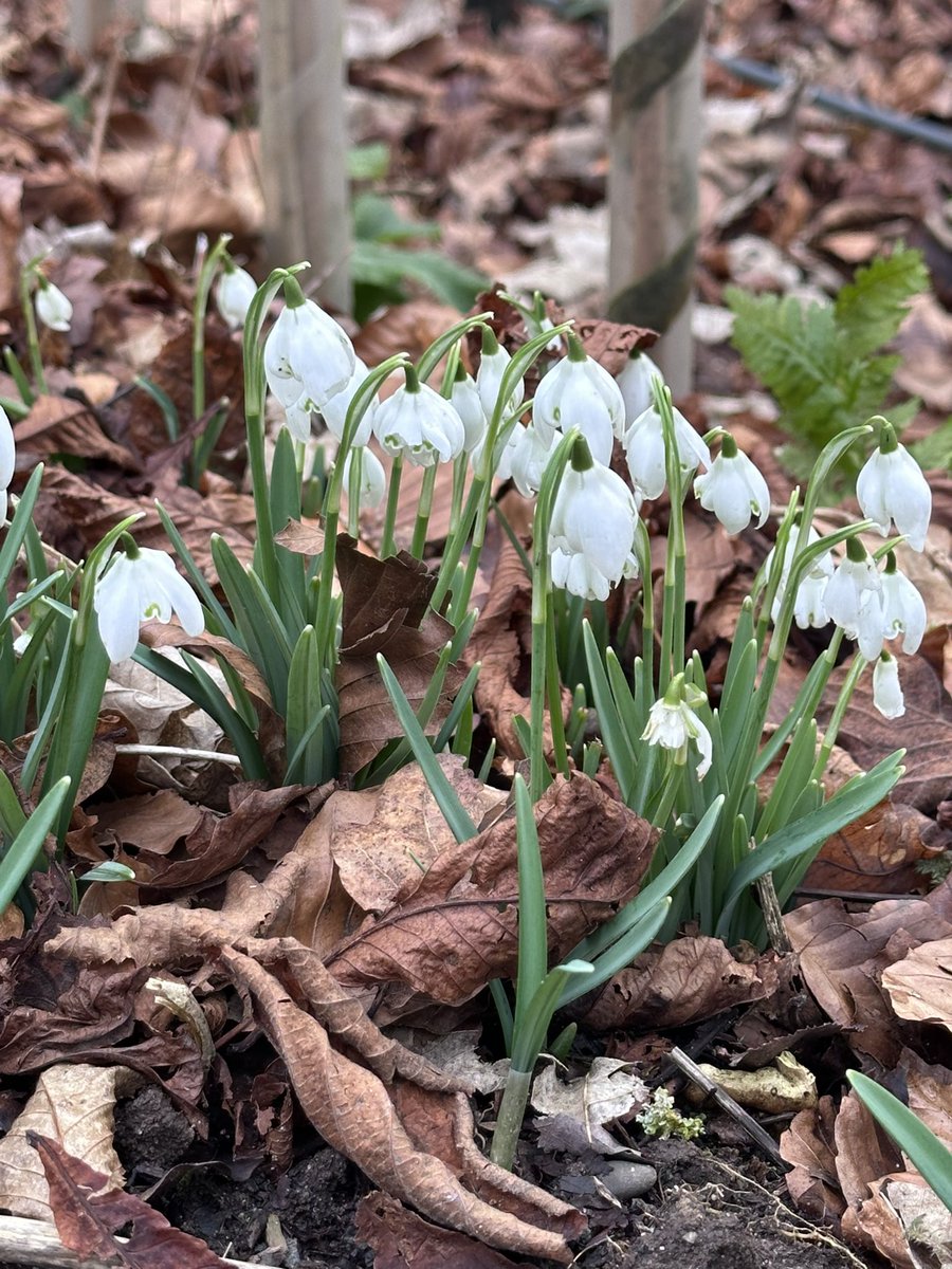 Universal tweet media