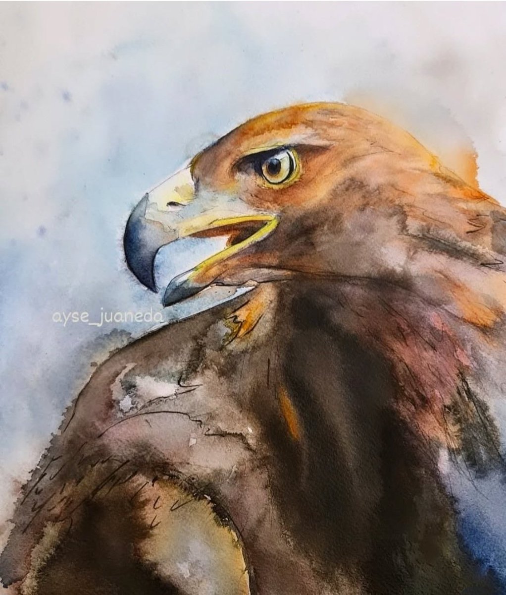 azhykmaa_'s tweet photo. 🦅
An eagle earns its honor from the storms it endures.
#matshonadhliwayo #art #painting #watercolor #portrait #figurativeart #figurativepainting #eagle #eaglelovers #eaglehunter #eagledrawing #eaglepainting #turkic #drawing #siberia #tyva #mongolia #ethnic #traditionalart https://t.co/IxfWss6CSj