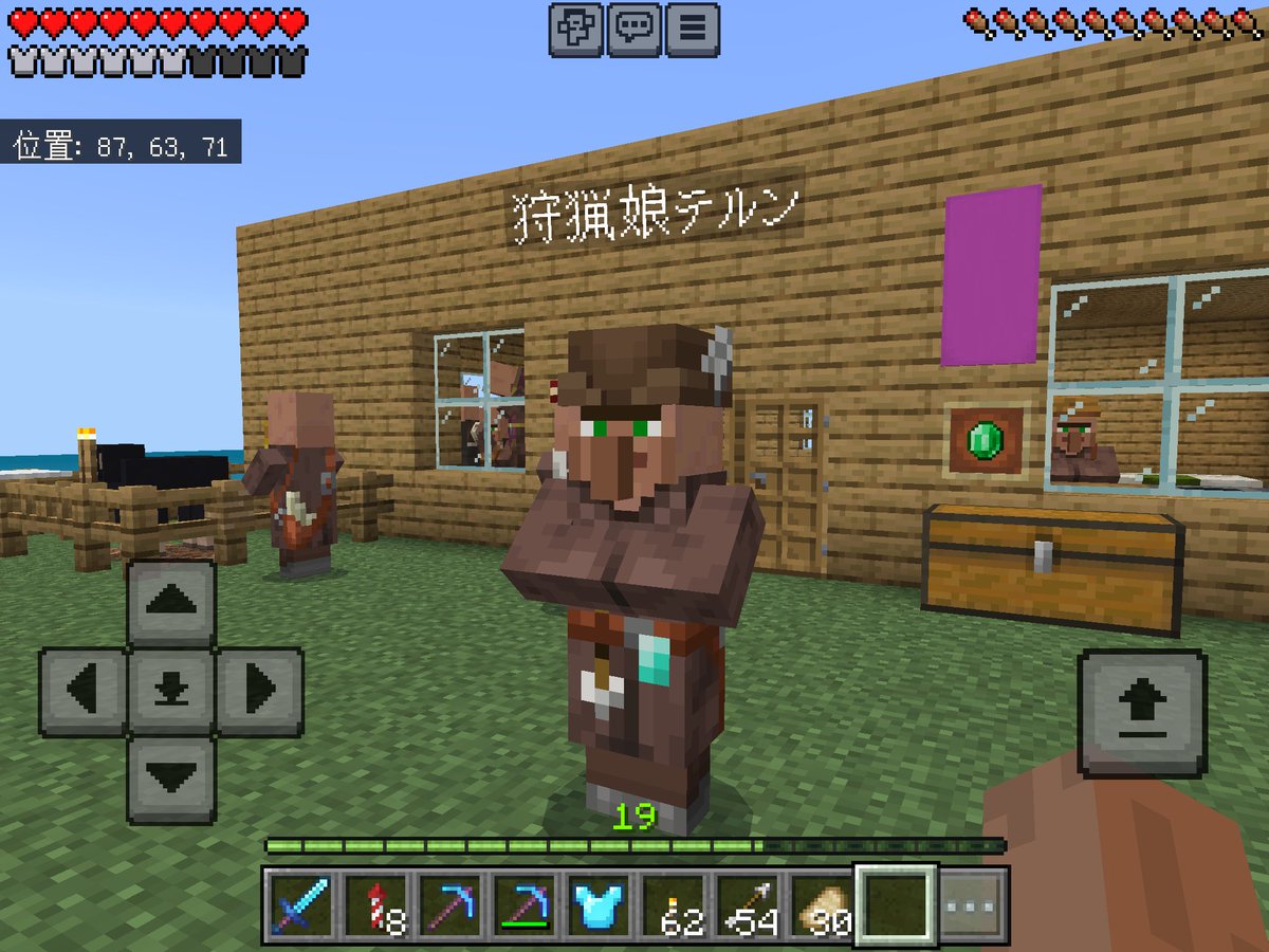 MusashingmanSub's tweet image. 矢師にテルンと名付けるワテ…
#マイクラ #村人 #にゃんこ大戦争 
#狩猟娘テルン