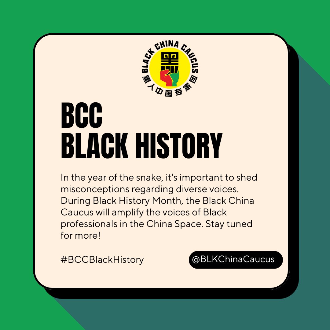 Black China Caucus (@blkchinacaucus) on Twitter photo 