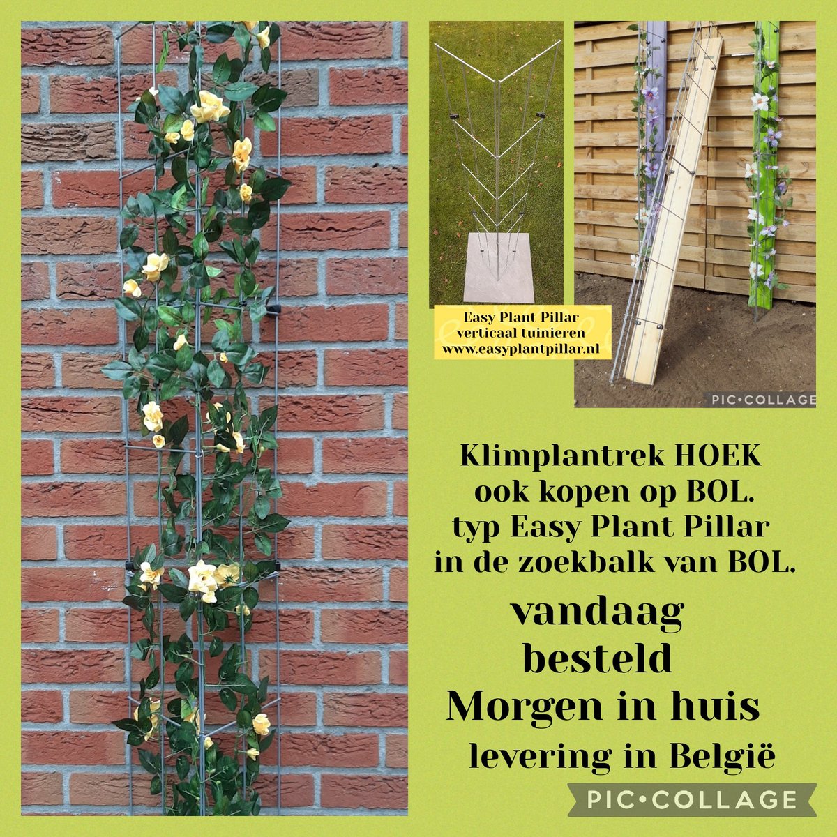 KlimplantenAmsterdam (@groen_amsterdam) on Twitter photo 