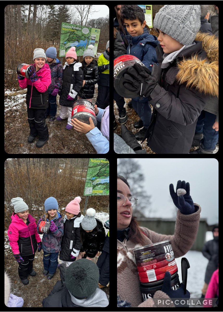 Mrs. Iarossi tweet media