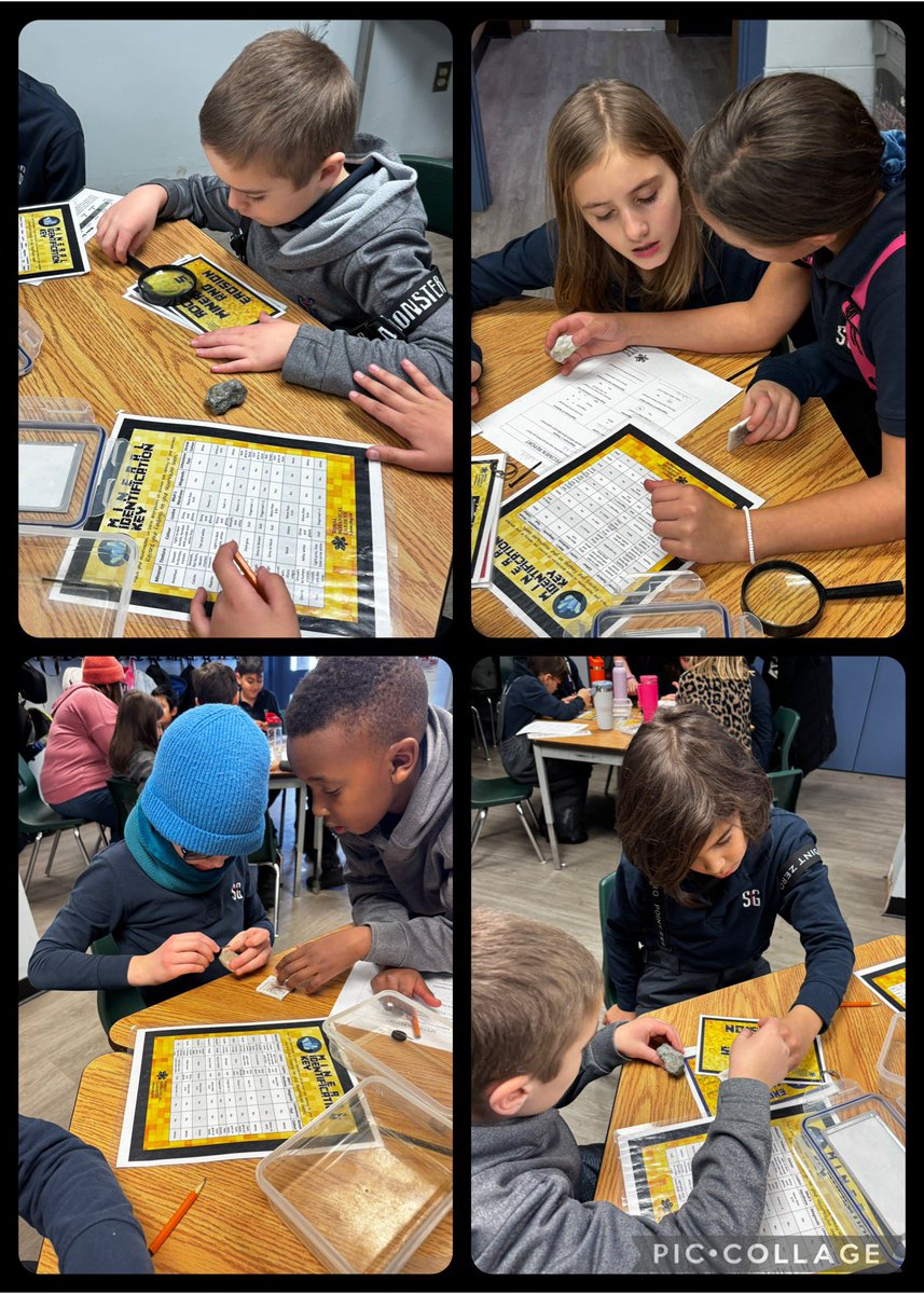 Mrs. Iarossi tweet media