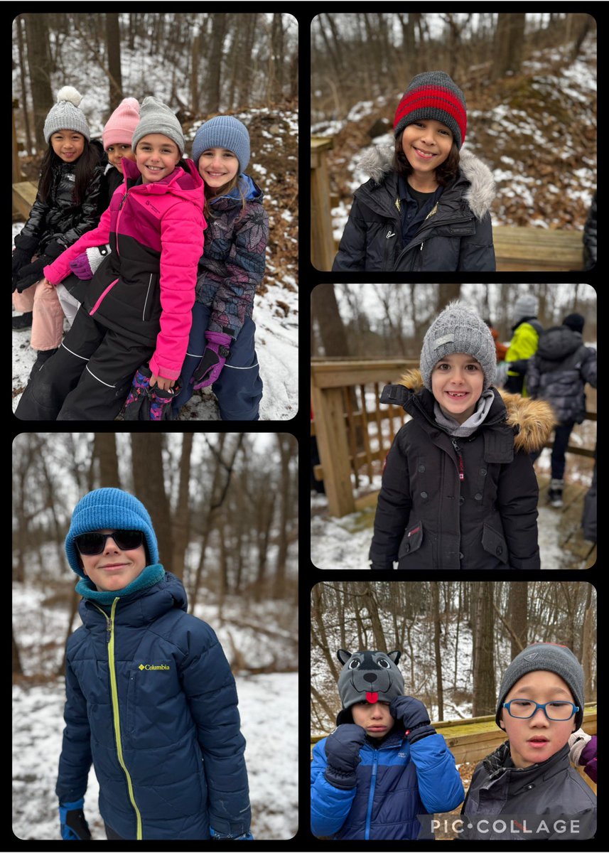 Mrs. Iarossi tweet media