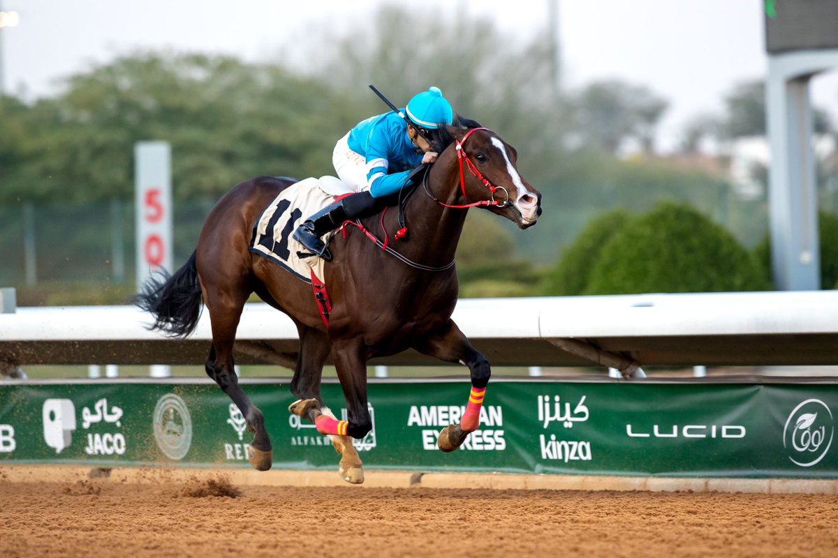 نادي سباقات الخيل tweet media