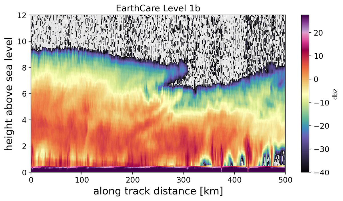 Randy Chase tweet media