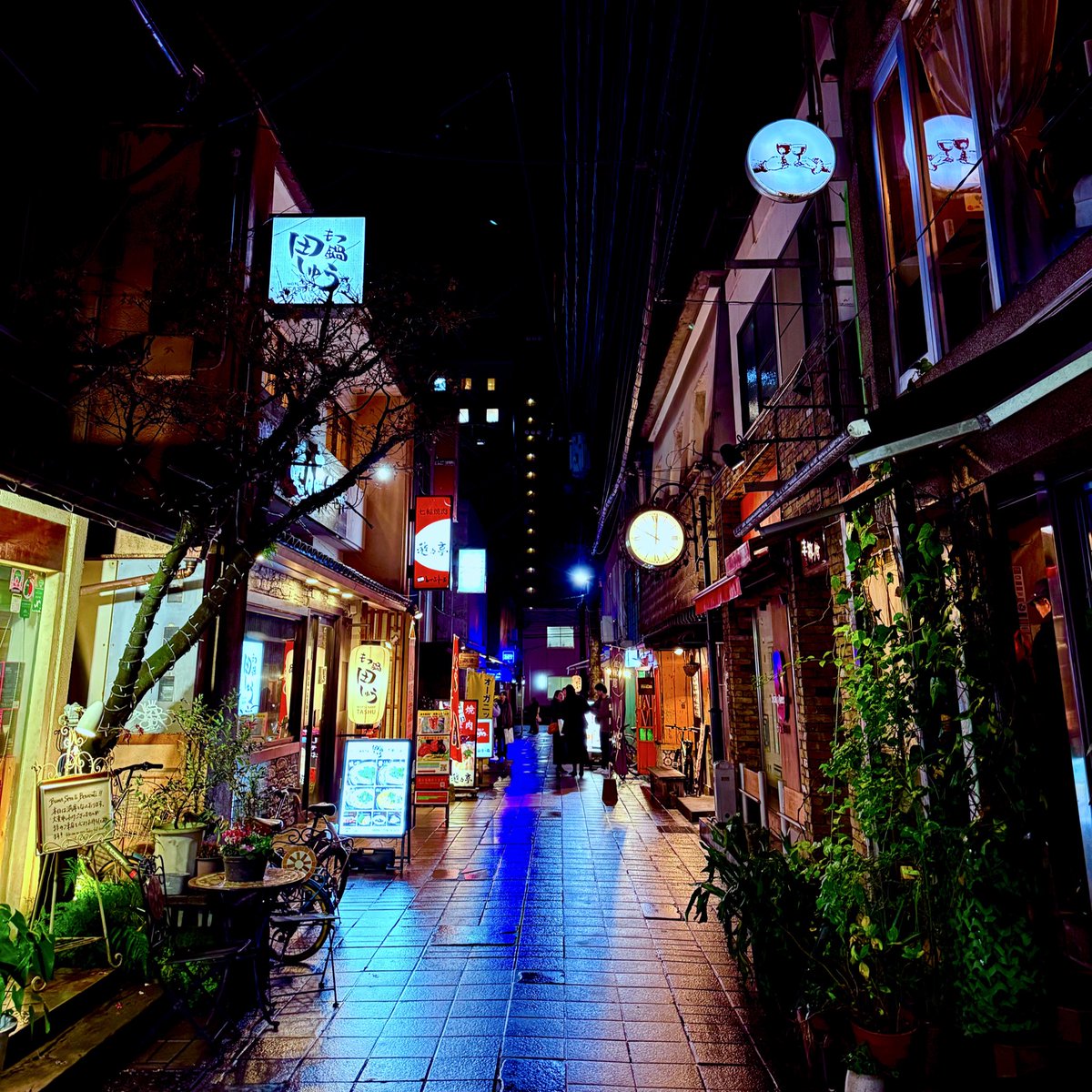 しっしー🐾@動画で地方創生ときどき猫YouTuber (@studio_singa