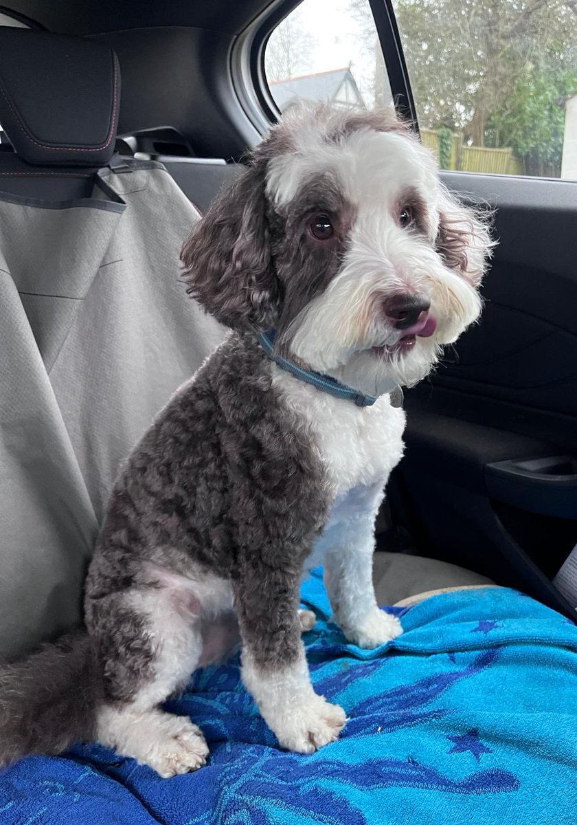 BeMoreBob tweet media