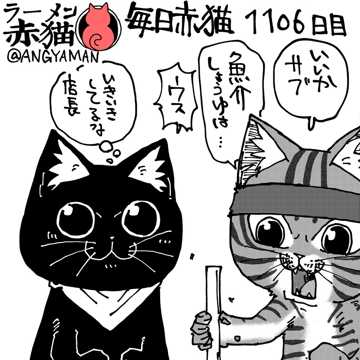 赤猫 杏 赤猫 杏 (@akanekoanzu) / X