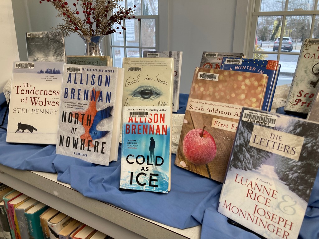 If the chill outside isn't enough for you, come find a deeply chilly read at the library!