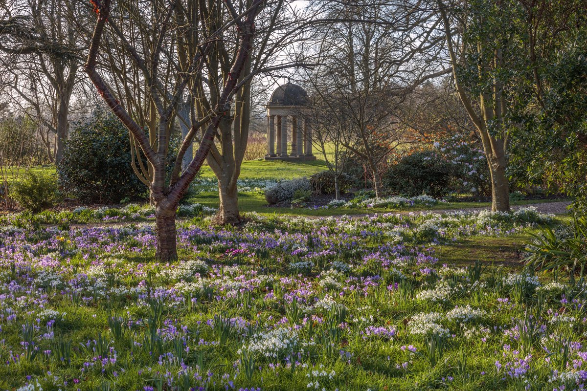 Doddington Hall (@doddingtonhall) on Twitter photo It’s finally February & Imbolc is here, marking the sacred space between winter’s hush & the awakening whispers of #spring 🌱
We’re looking forward to reopening the #gardens on 5 February: doddingtonhall.com/event/spring-b…
📷 <a href="/clivenichols/">Clive Nichols</a> It’s finally February & Imbolc is here, marking the sacred space between winter’s hush & the awakening whispers of #spring 🌱
We’re looking forward to reopening the #gardens on 5 February: doddingtonhall.com/event/spring-b…
📷 <a href="/clivenichols/">Clive Nichols</a>
