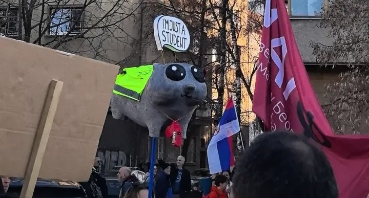 KO JE NAPRAVIO SAD HAMSTERA UMREĆU SAD
