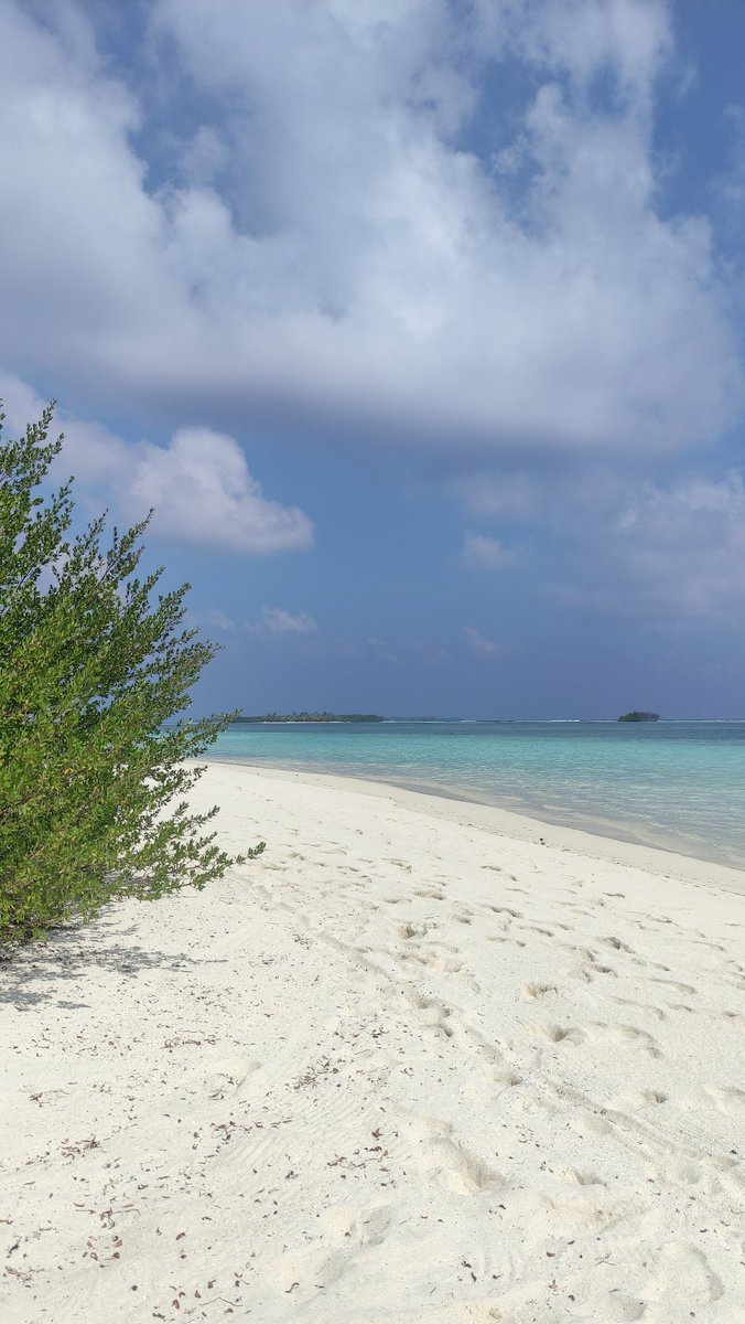 Helenmaree's tweet photo. A month ago I was performing in paradise. What an unreal place to ring in the New Year ✨

#maldives https://t.co/aRLl1bVN9Q