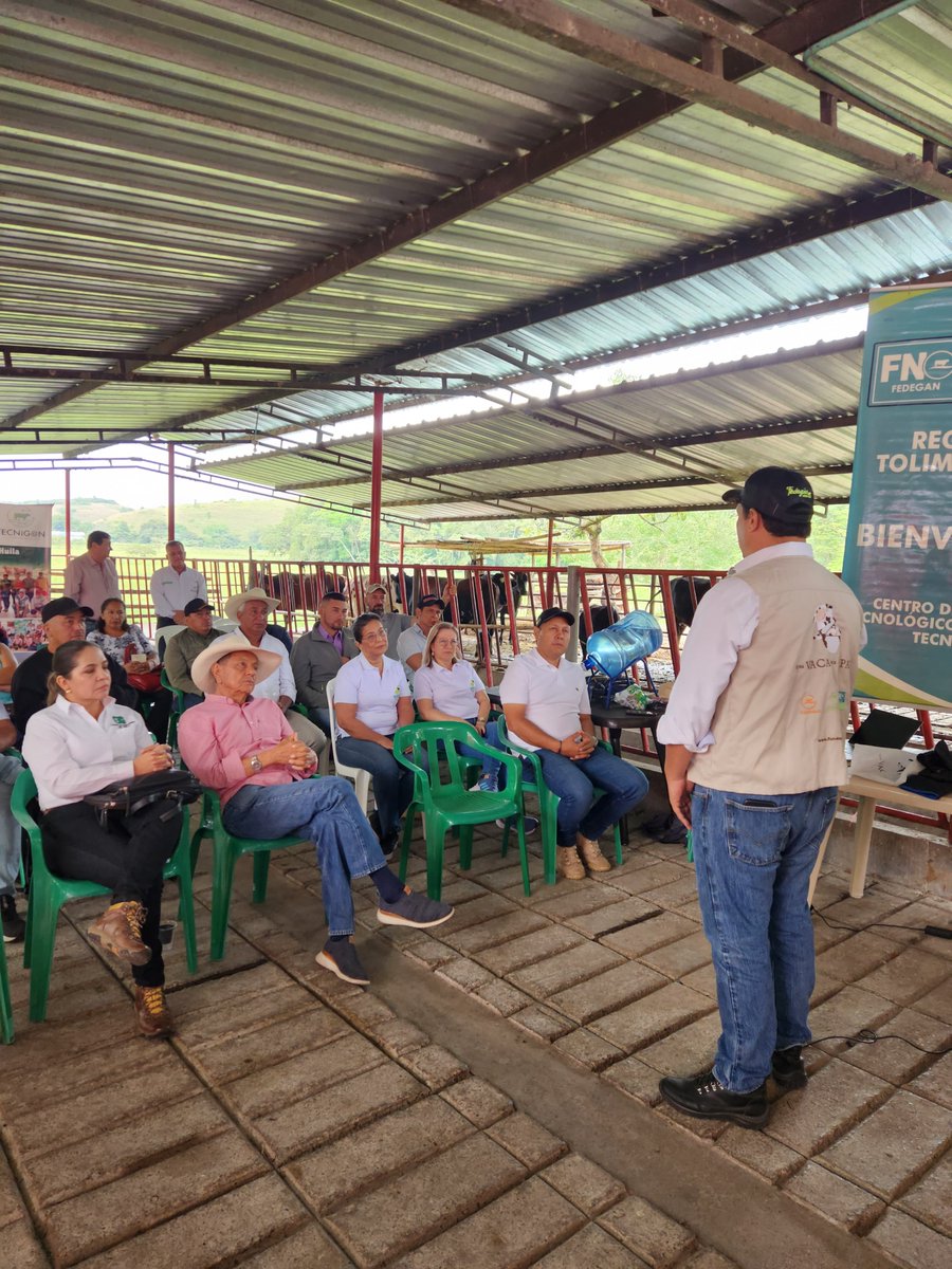 apnnoticias's tweet photo. #Nacional
Novillas preñadas fueron entregadas por @FUNDAGAN, @ASOGACENTRO y el Comité de Ganaderos del #Huila en los municipios de #Altamira, #Tarqui, #Timaná, #Pitalito, #LaPlata, #Tesalia y #LaArgentina.
👏🏼🐄 https://t.co/lGPS2w5rrU
@Fedegan
@jflafaurie
@natydelgado22 https://t.co/SGGFFkmDbw