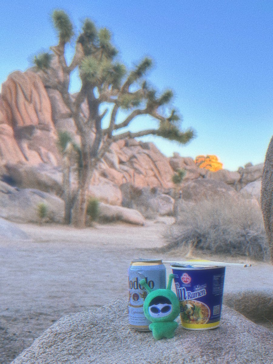 Hamzukhamsal's tweet photo. 왹키 사막에 불시착 🛸🌵🏜️🐪🏴‍☠️ https://t.co/fXxDjDpdo2