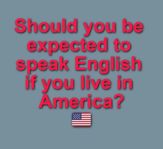 Not Elon Musk tweet media