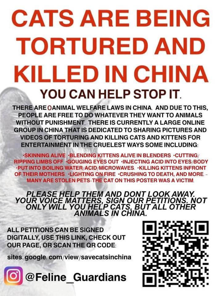 g0vegan4animals's tweet photo. If you tolerate animal abuse, you will teach your society the wrong values and encourage them to inflict more suffering and disrespect life #DeepSeek @ChinaAmbUN @MFA_China https://t.co/bnt67ZeWYu